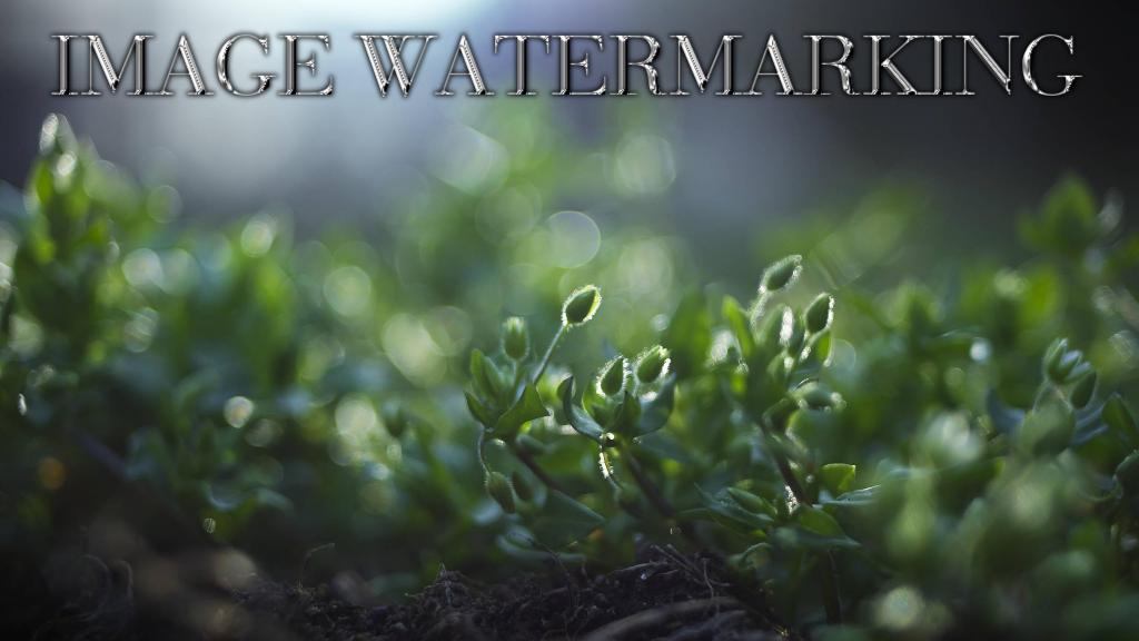 Image Watermarking
